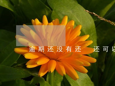 逾期还没有还 还可以贷款吗 逾期还没有还 还可以贷款吗